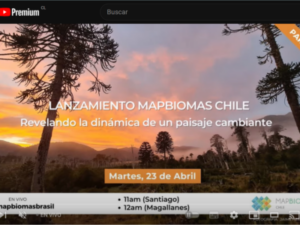 Lanzamiento de la Colección 1 de MapBiomas Chile 