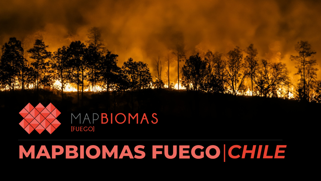 MapBiomas Fuego: Revela más de 1,2 millones de hectáreas afectadas por el fuego en la zona centro-sur en la última década