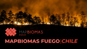 MapBiomas Fuego: Revela más de 1,2 millones de hectáreas afectadas por el fuego en la zona centro-sur en la última década