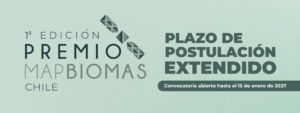 Se extiende el plazo para postular a la primera edición del Premio MapBiomas Chile