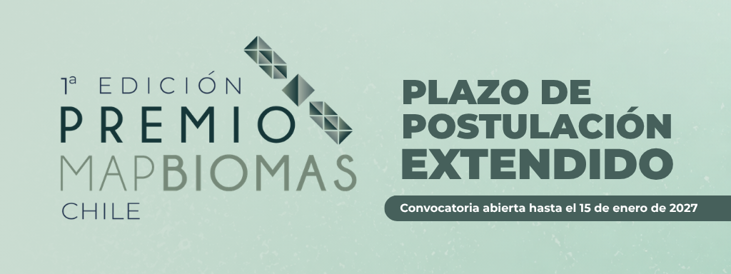 Se extiende el plazo para postular a la primera edición del Premio MapBiomas Chile