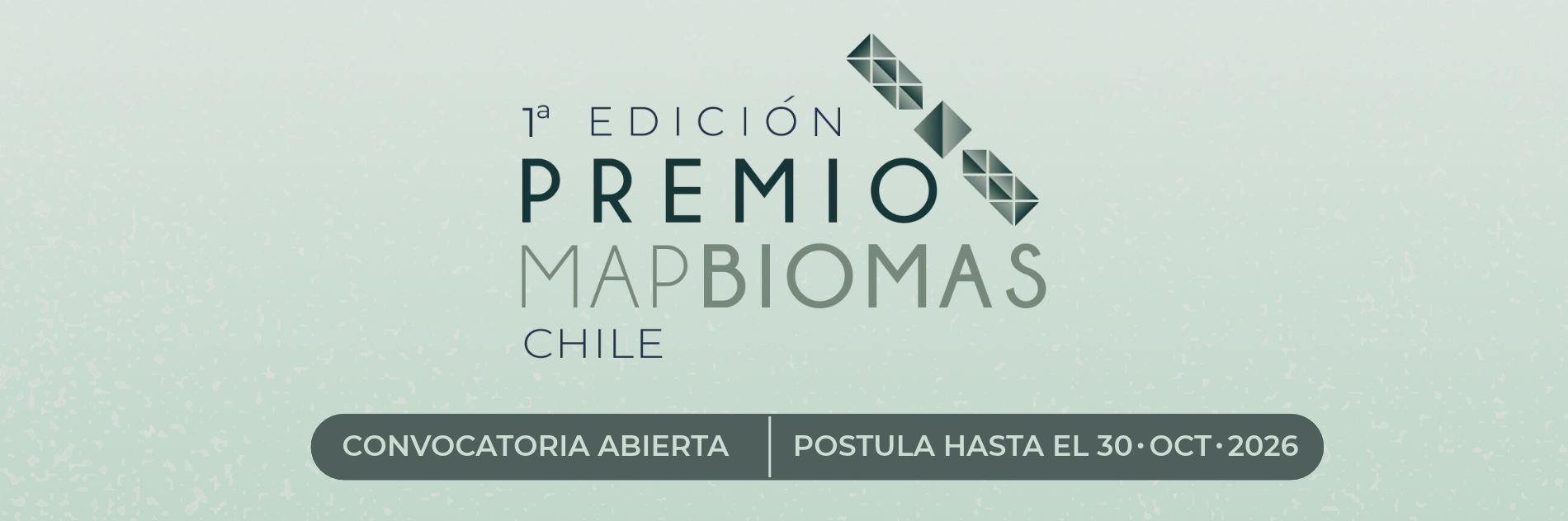 Premio MapBiomas Chile invita a postular trabajos que usan datos satelitales para comprender y gestionar el territorio